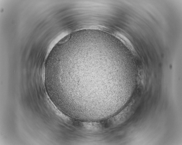 X0000086970804200704161542