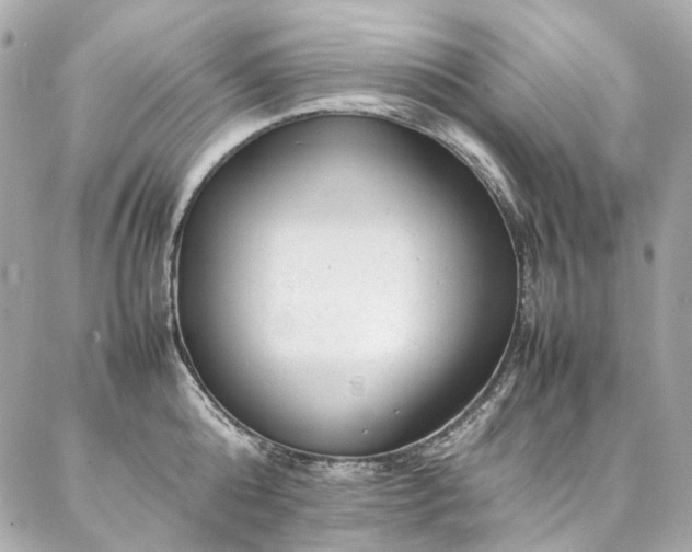 X0000086970808200704161542
