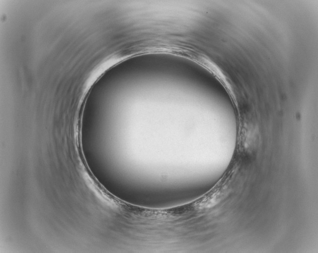 X0000086970811200704161542