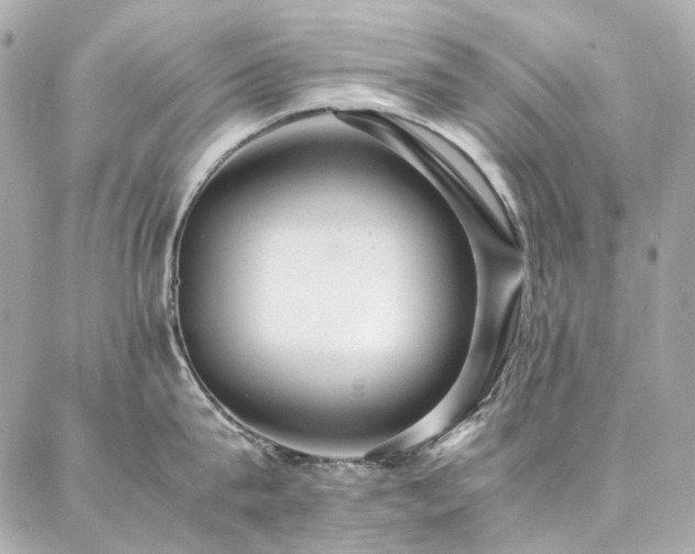 X0000086970815200704161542