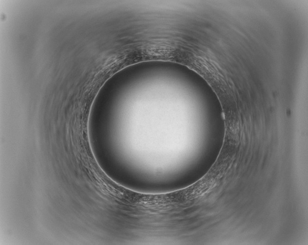 X0000086970817200704161541