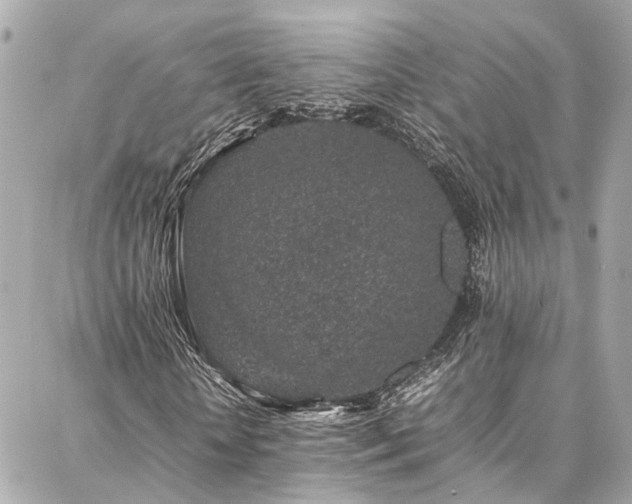 X0000086970818200704161541
