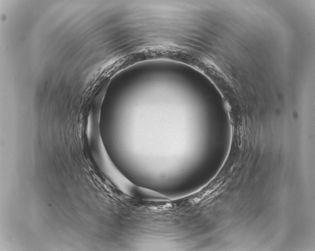 X0000086970822200704161541