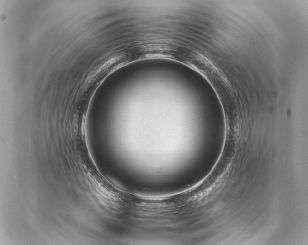 X0000086970825200704161541
