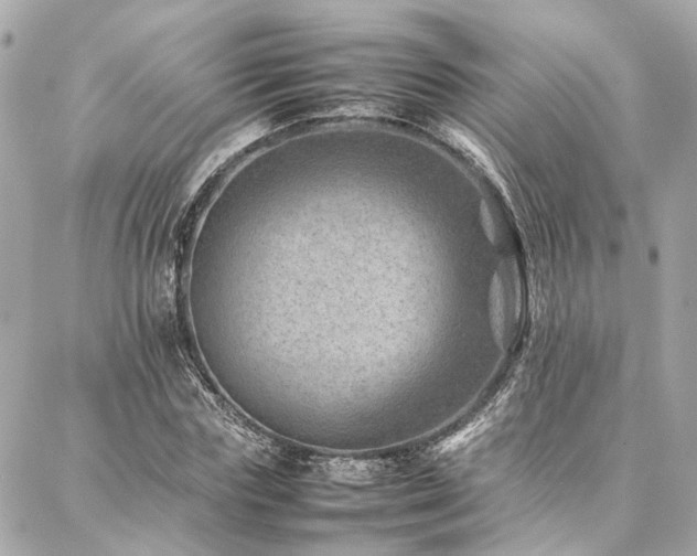 X0000086970827200704161541
