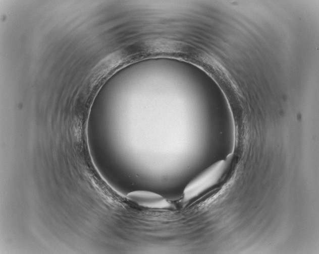 X0000086970833200704161541