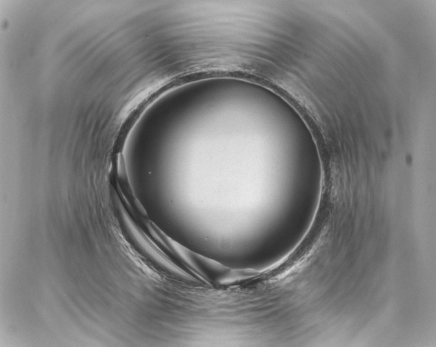 X0000086970834200704161541