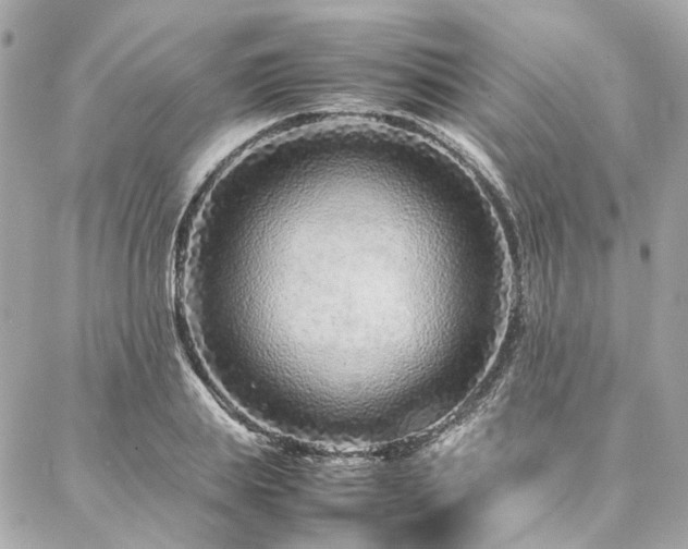 X0000086970839200704161541