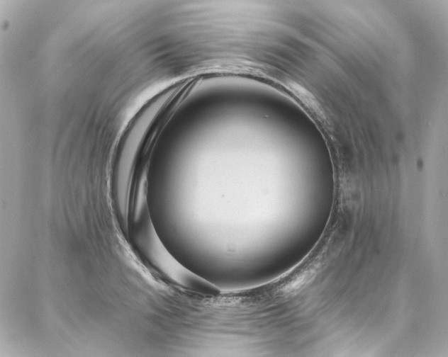 X0000086970846200704161541