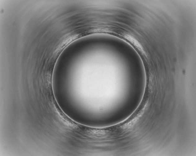 X0000086970849200704161541