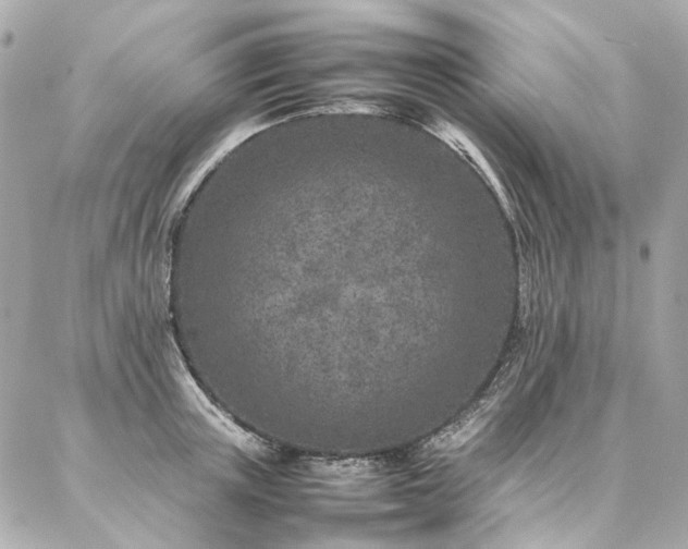X0000086970851200704161541