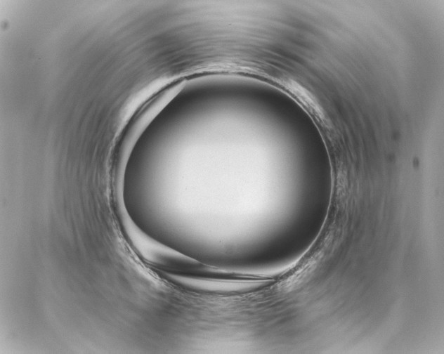X0000086970854200704161542