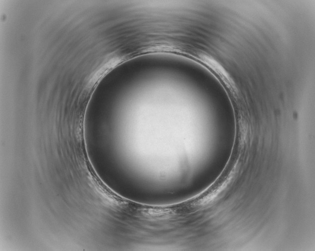 X0000086970857200704161542
