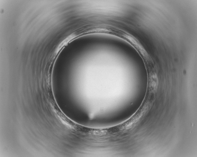 X0000086970858200704161542