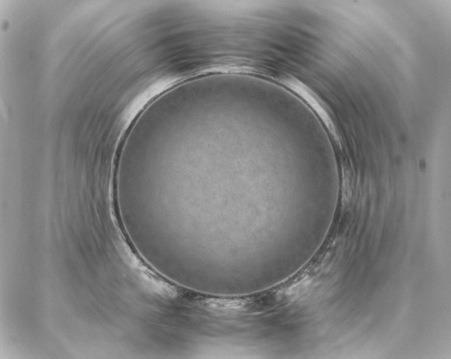 X0000086970861200704161542