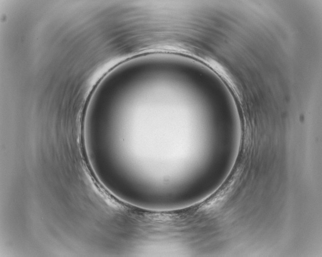 X0000086970862200704161542