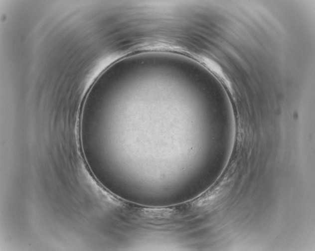 X0000086970863200704161542