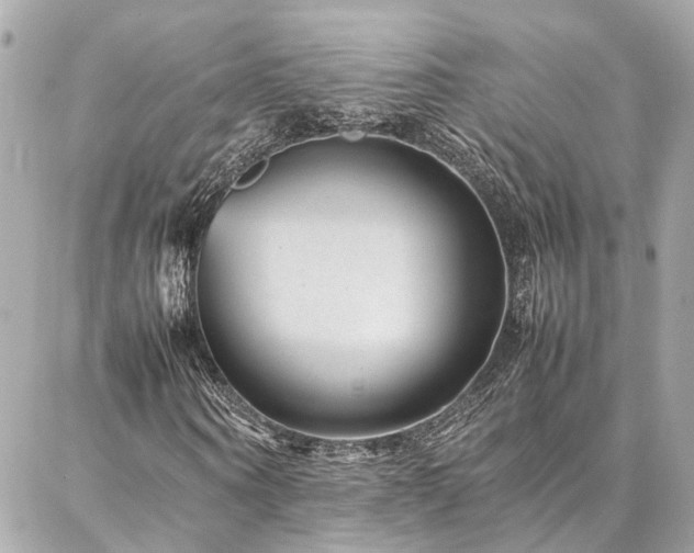 X0000086970866200704161541