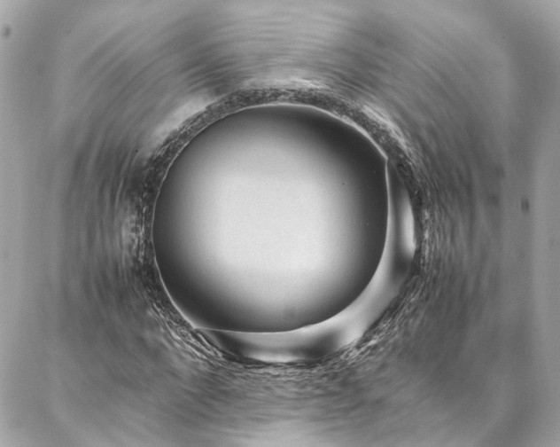 X0000086970872200704161541