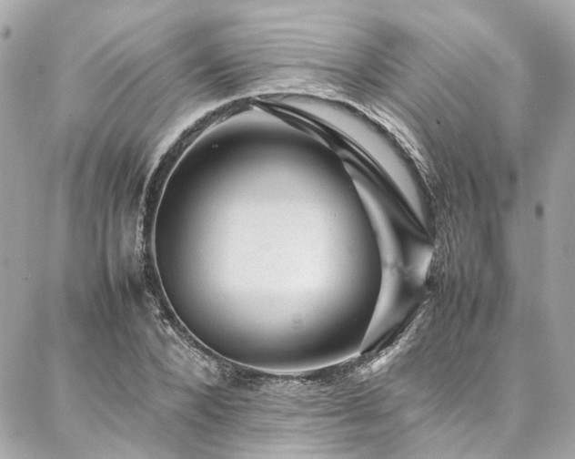 X0000086970880200704161541