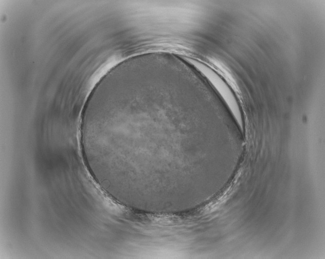 X0000086970899200704161540