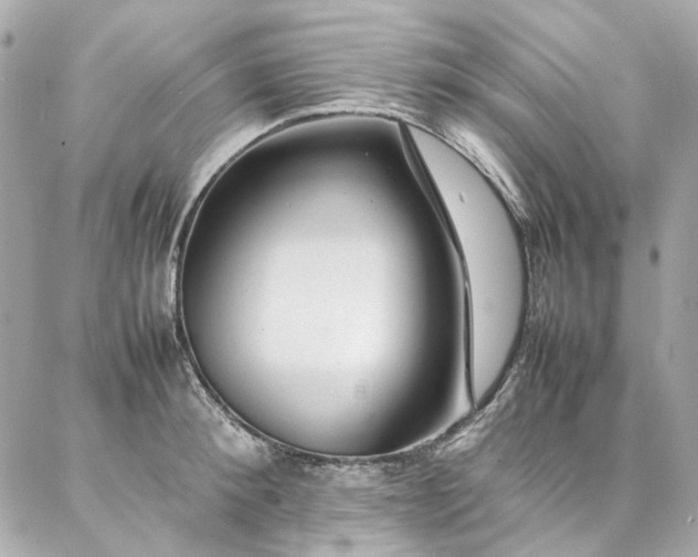 X0000086970900200704161540