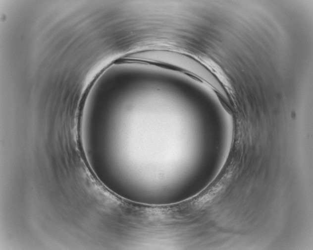 X0000086970904200704161540
