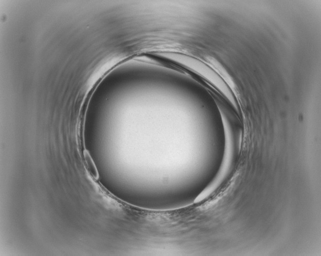 X0000086970909200704161540