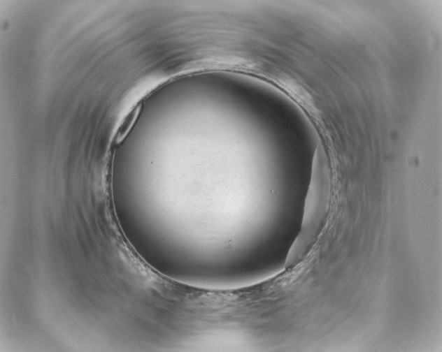 X0000086970912200704161540