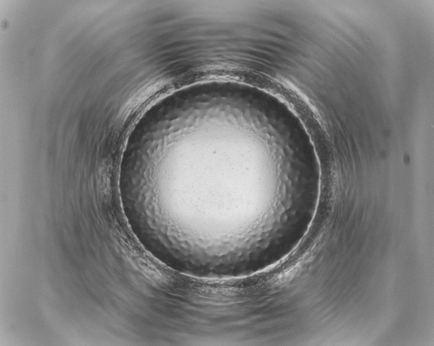 X0000086970921200704161540