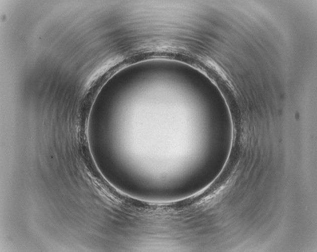 X0000086970922200704161540
