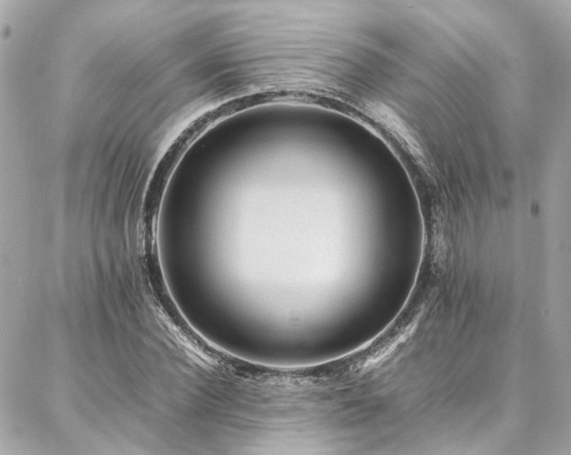 X0000086970924200704161540