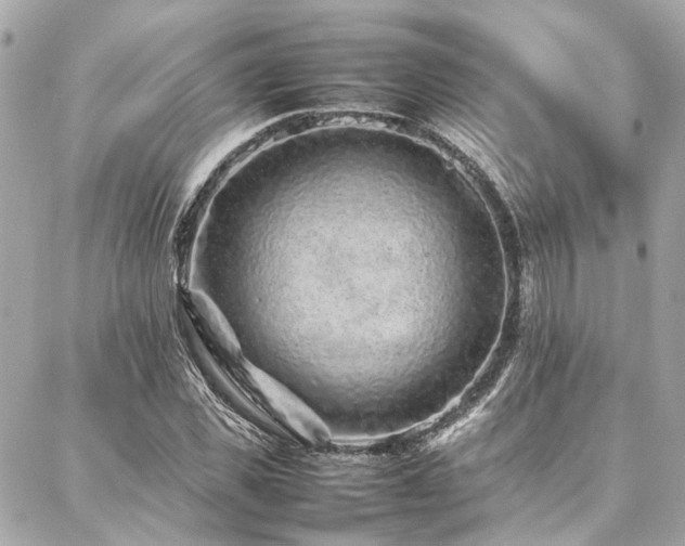 X0000086970925200704161540