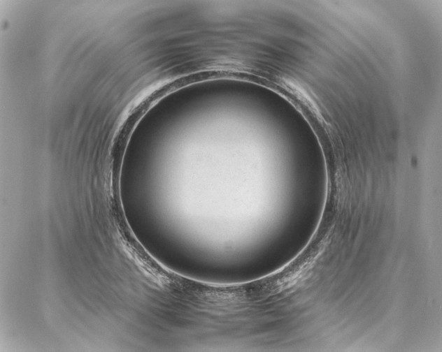 X0000086970931200704161540