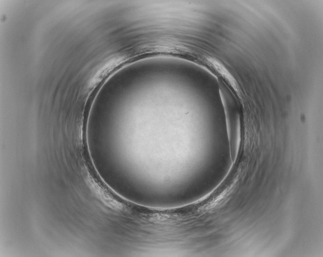 X0000086970938200704161540