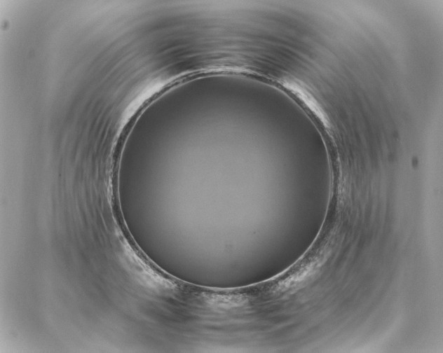X0000086970941200704161540