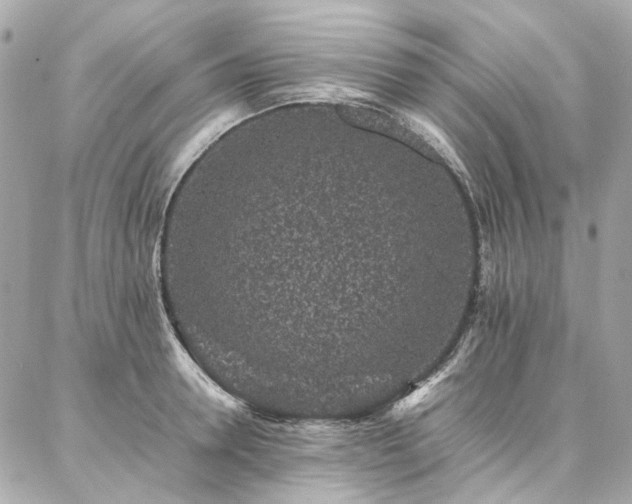 X0000086970946200704161540