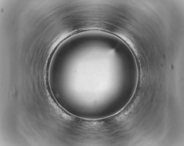 X0000086970949200704161540