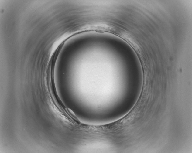X0000086970960200704161540