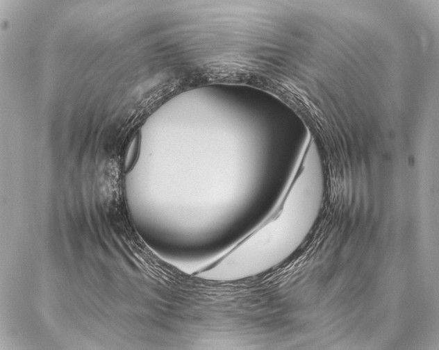 X0000086970964200704161539