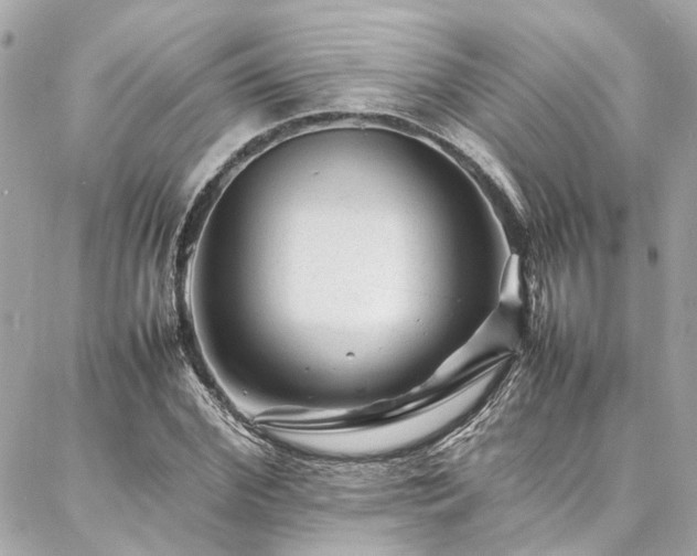 X0000086970972200704161539