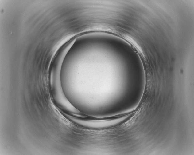 X0000086970996200704161539