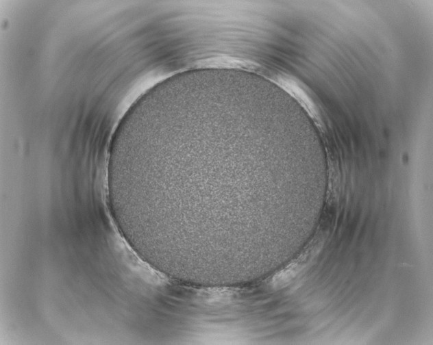 X0000086971000200704161539