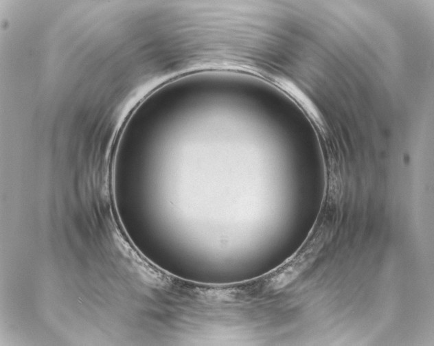 X0000086971004200704161539