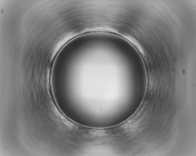 X0000086971006200704161539