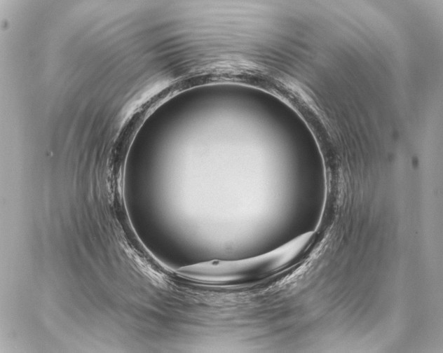X0000086971018200704161538