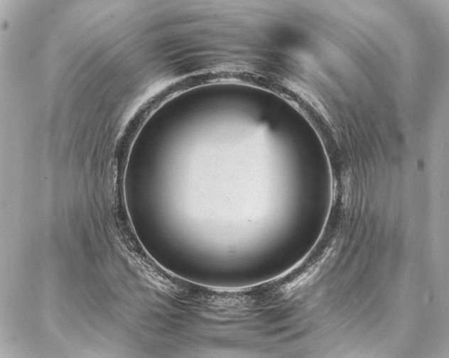 X0000086971021200704161538
