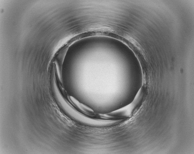 X0000086971022200704161538