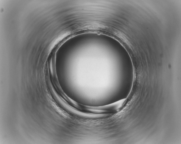 X0000086971026200704161538