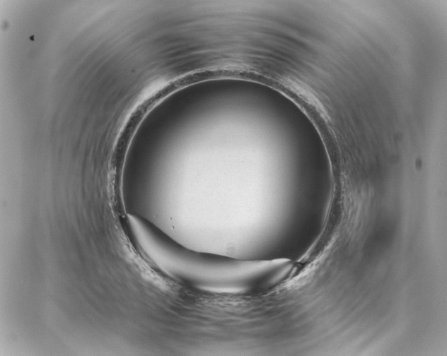 X0000086971029200704161538